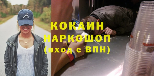 крисы Кущёвская