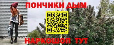 PSILOCYBIN Канаш