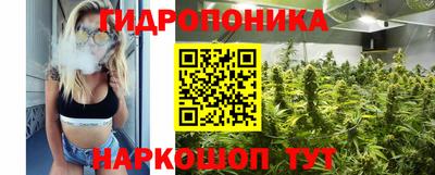 круглые Камышлов