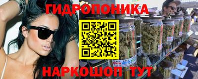 PSILOCYBIN Канаш