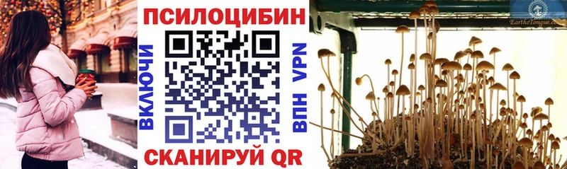 omg ONION  где купить наркотик  Магнитогорск  Галлюциногенные грибы Magic Shrooms 