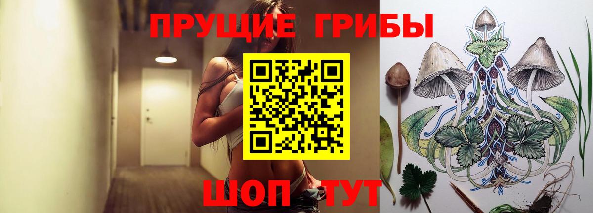 Галлюциногенные грибы Psilocybine cubensis  Вход с VPN  Магнитогорск 